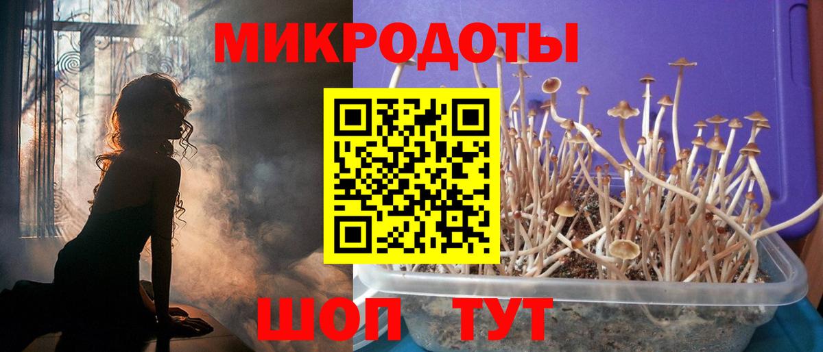 Псилоцибиновые грибы мицелий Ипатово